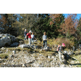 photo miniature